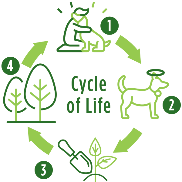 cycle