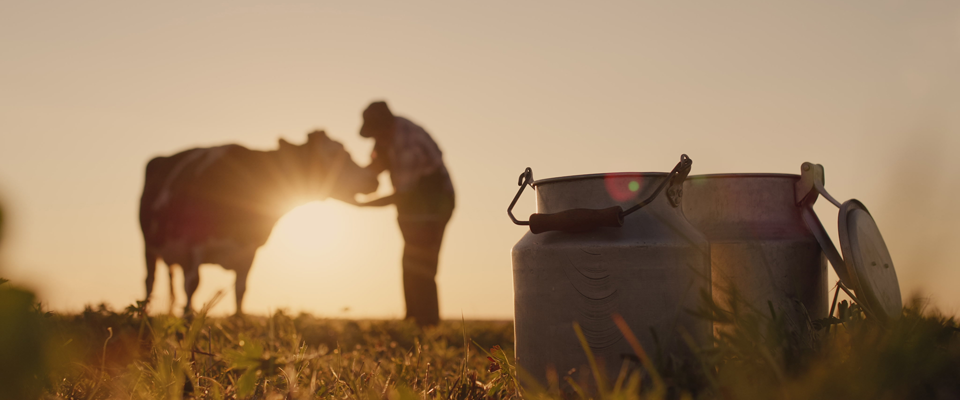 farmer_1920x800